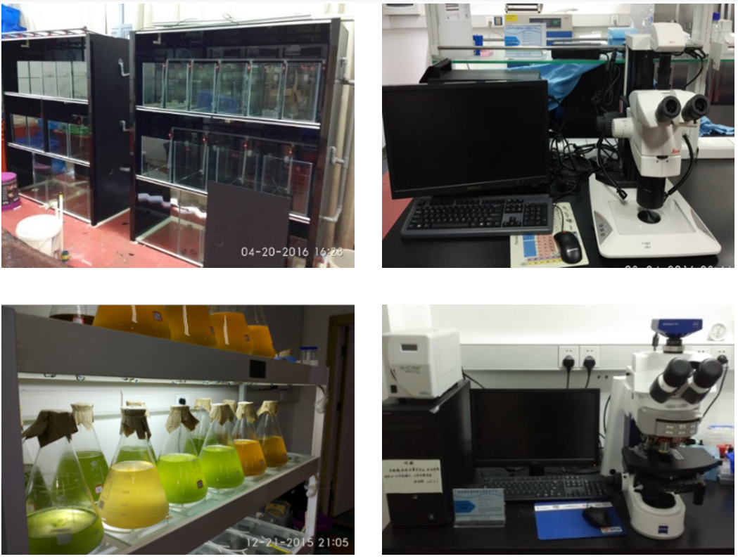 Home B2d138a1 Ba44 4ae2 B991 6f07439fe400